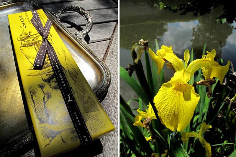 La garrigue s'invite pour le café