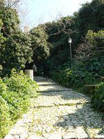 Escapade sur l'île Sainte-Marguerite (06)