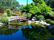 Photos floues sous solution