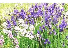 Jardiner autrement...