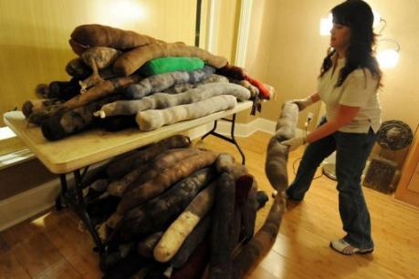 Daisye Suduran, employée de l'hôtel Ritz Carlton de La Nouvelle-Orléans, prépare le 8 mai 2010