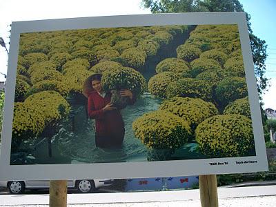 7ème édition du Festival Photo La Gacilly