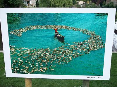 7ème édition du Festival Photo La Gacilly