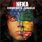 51kC1 RQMUL. SL160  Audio: Nneka Feat Nas Heartbeat Remix 