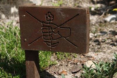 Dans les tourbières