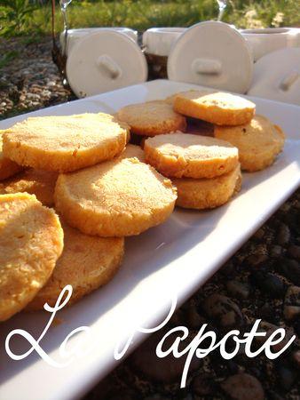 Sabl_s_au_parmesan_2