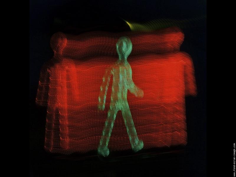 Le mouvement (Hédi Kaddour)