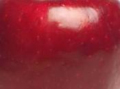 pomme (Hédi Kaddour)