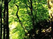 cette chaude journée, vous offre fraîcheur