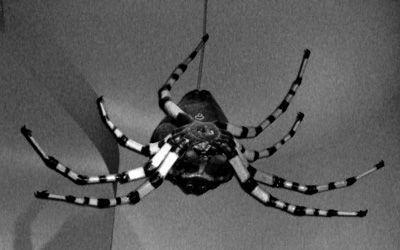 Aux Champs Elysées Aux Champs Elysées