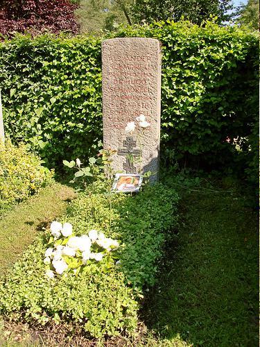 roses blanches Schmorell tombe