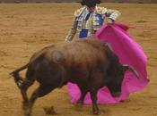 Ostracisme envers figuras