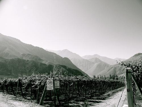 Désert d’Atacama, On a Marché sur la Lune