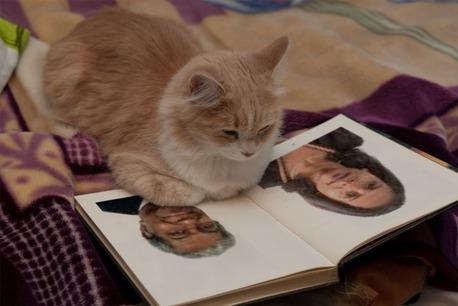 Nos sénateurs sont des cancres