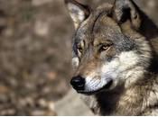 Ritournelle pour jour printemps