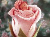 fleur offerte fille (James Joyce)