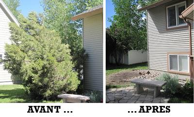 L'arbre qui cachait la maison