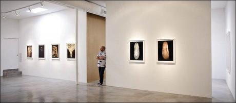 M+B Gallery - Michael jackson