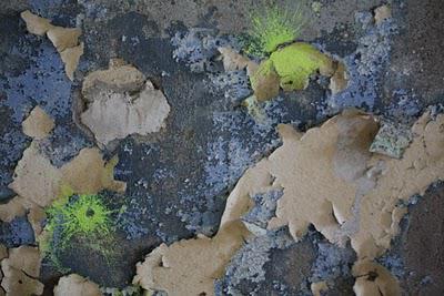 Plateau de Domgermain