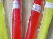 MISTER FRIZZ Nouschka