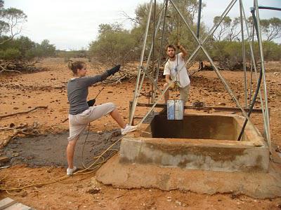 Cattle station job in the outback