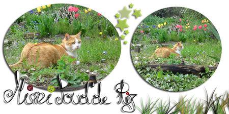 nounou_dans_le_jardin