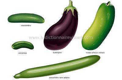 Les légumes fruits