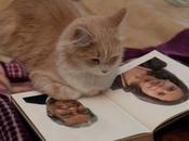 sénateurs sont cancres