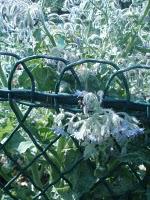 Une balade entre les arts et la nature