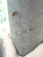 Une balade entre les arts et la nature