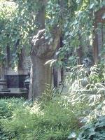 Une balade entre les arts et la nature