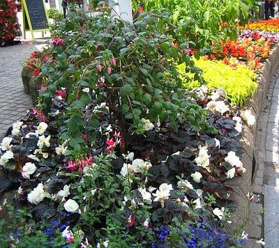 Escapade à Malmédy ville où je suis née!