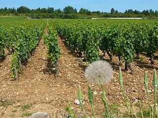 La Bourgogne sous quelques-uns de ses plus beaux aspects