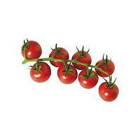 Clafoutis aux Tomates Cerises, Parmesan et Huile de Basilic vert