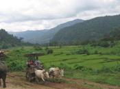 Thaïlande touristes font grimper statistiques 16,07 entrées mois.