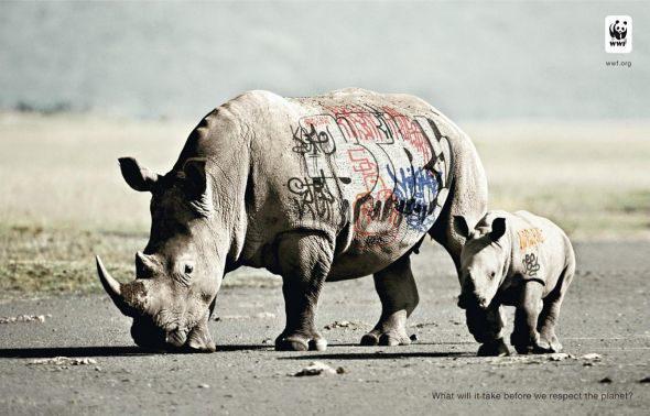 Biodiversity-and-biosafety-awareness-rhinoceros.preview