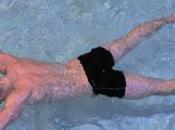 champions, champions...!