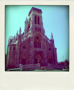 DSC02276_pola