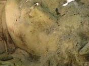 Défifoto RondeurDeux Arlésiennes