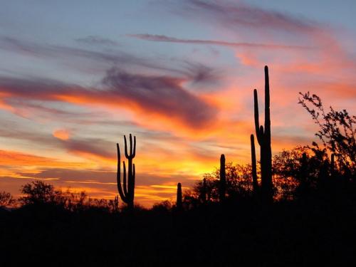 sunset-arizona.jpg