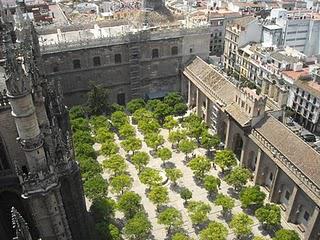 La cathédrale de Séville: Histoire et visite