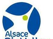 Alsace BioValley labellise projets d’innovations thérapeutiques développés cœur l’Alsace