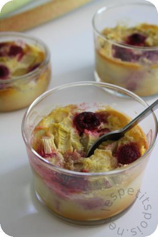 La rhubarbe , j'adore et vous ?? récapitulatif des vos recettes