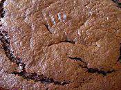 vrai moelleux chocolat