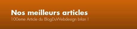 100eme Article du Blog Du Webdesign bilan !