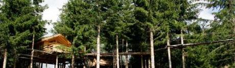 cabane1 Passez la nuit perché dans les arbres !