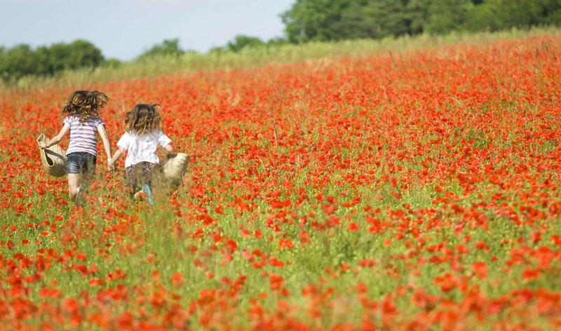Ces deux fillettes courent joyeusement dans un champ de pavots en fleurs dans le comté de Hampshire dans le sud de l'Angleterre.