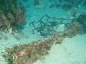 Sondage l'épave Pointe Sainte-Anne