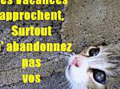 Pitié pour animaux aussi