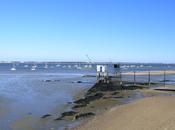 CARTE POSTALE qu'elle était